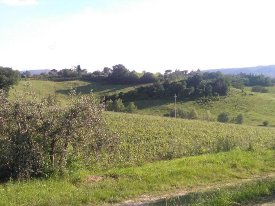 Splendido Ampio Appartamento A Montepulciano Bagian luar foto