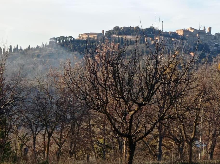 Splendido Ampio Appartamento A Montepulciano Bagian luar foto