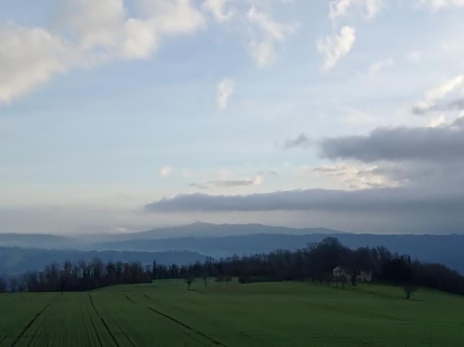 Splendido Ampio Appartamento A Montepulciano Bagian luar foto