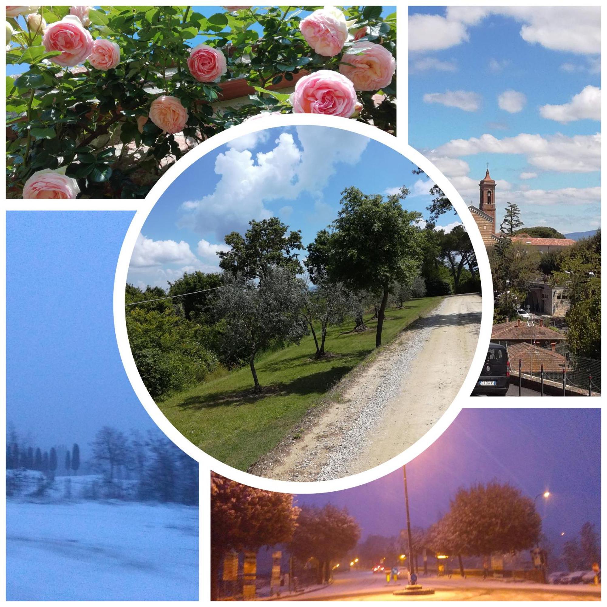 Splendido Ampio Appartamento A Montepulciano Bagian luar foto